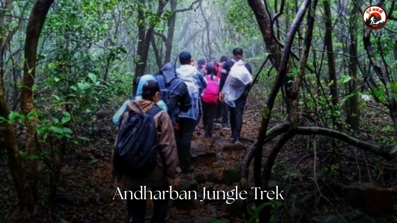 Andharban Jungle Trek